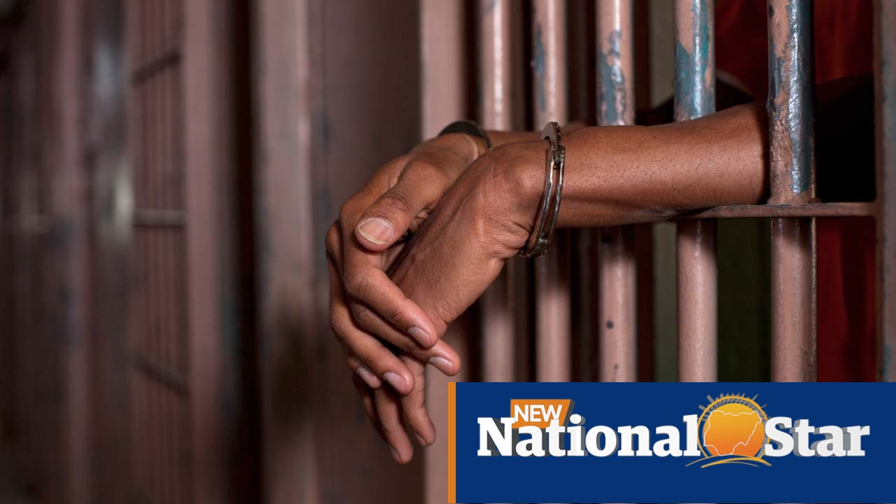 Lagos: Father, friend bag life jail for defiling, impregnating 14-year-old daughter | The Guardian Nigeria News