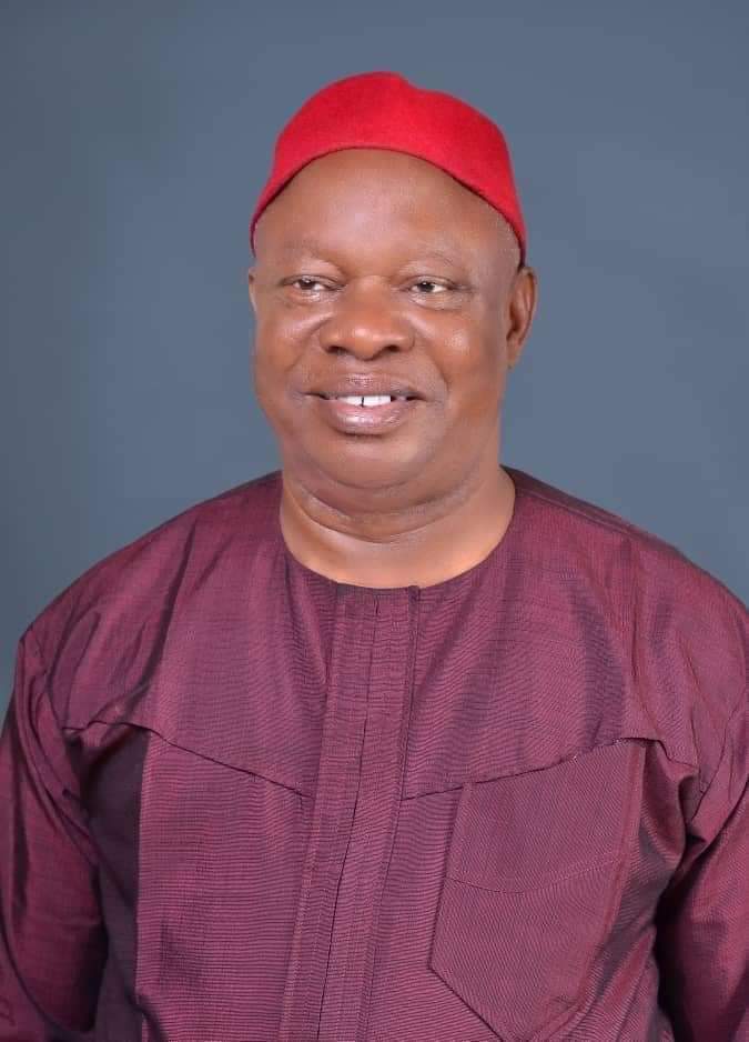 PROFILE: Meet the Senator elects from the bye election and their predecessors