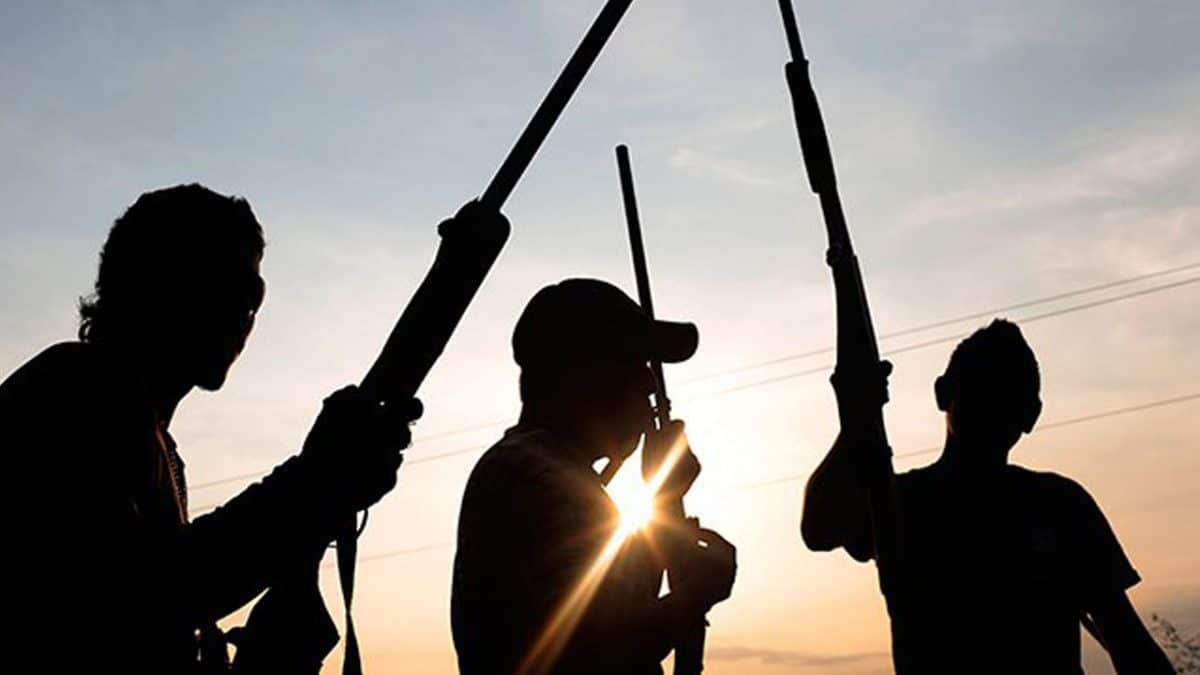 Gunmen abduct 30 travelers including NISIEC staff, ex-SUBEB chairman in Niger