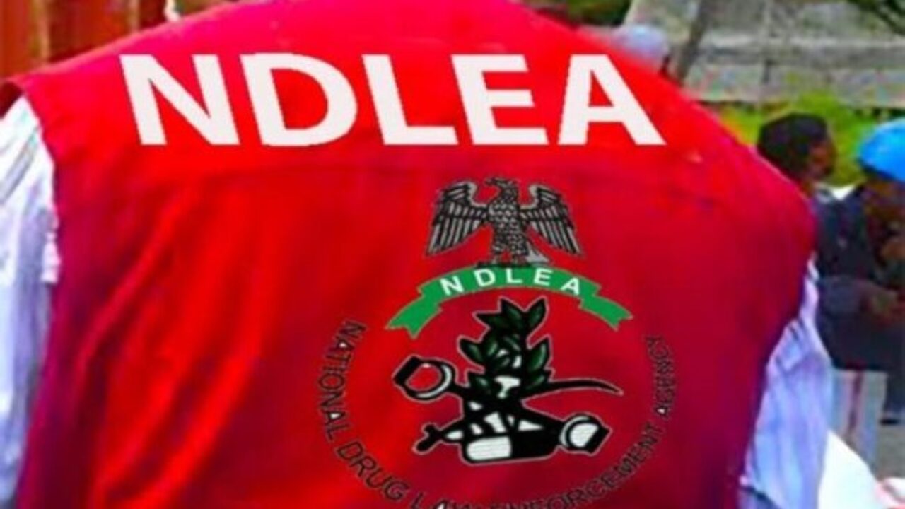 NDLEA Arrests 85-year-old Widow, 5 Others  In Edo 