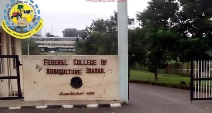 360 Agriculture College Students in Ibadan Get ₦54.21m NELFUND Support